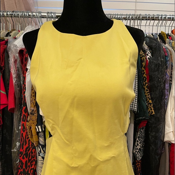 ZARA Dress - Picture 5 of 5